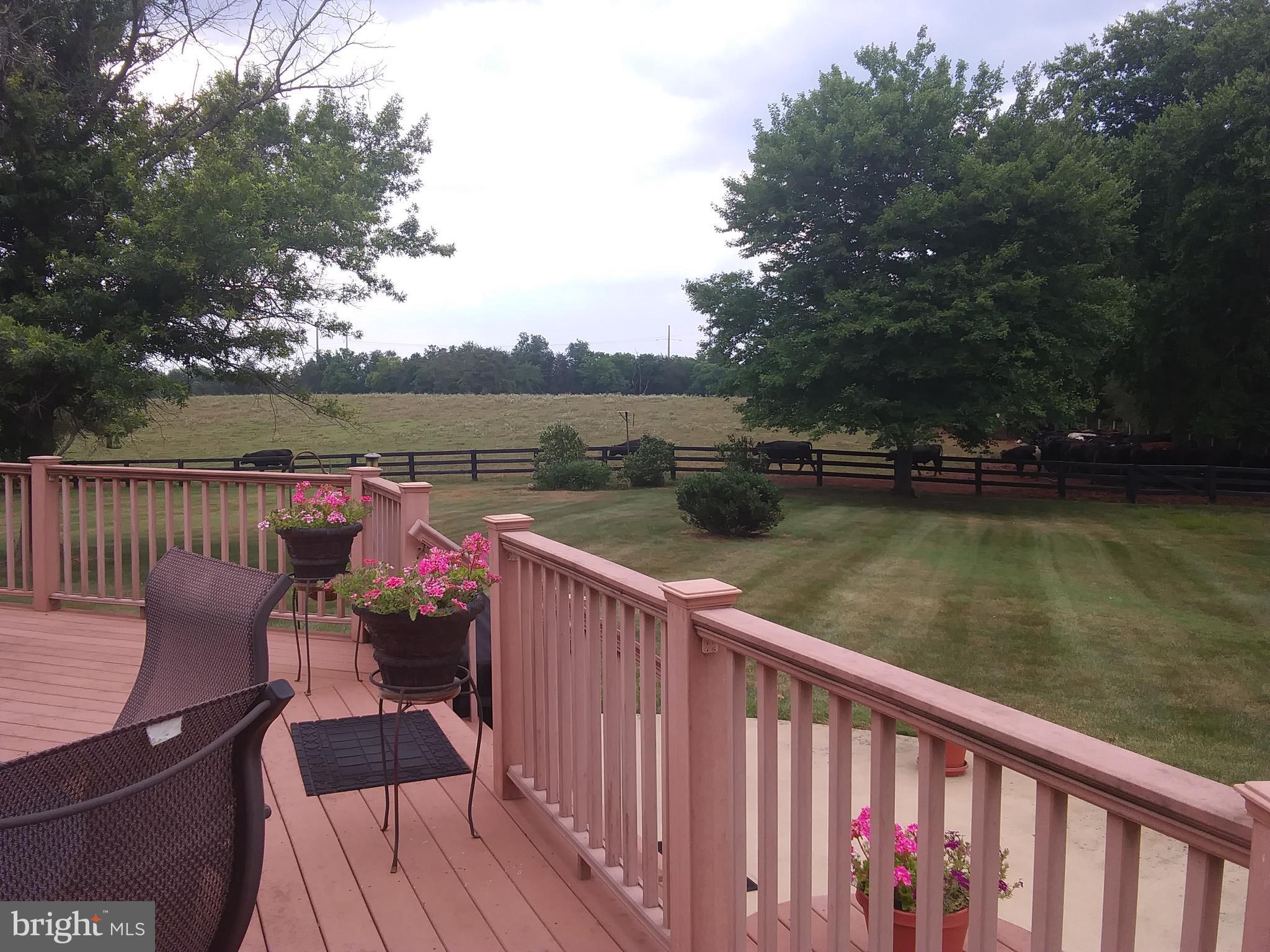 11869 Cemetery Road Remington, VA 22734 - Photo 6 of 19 Exterior (General)
