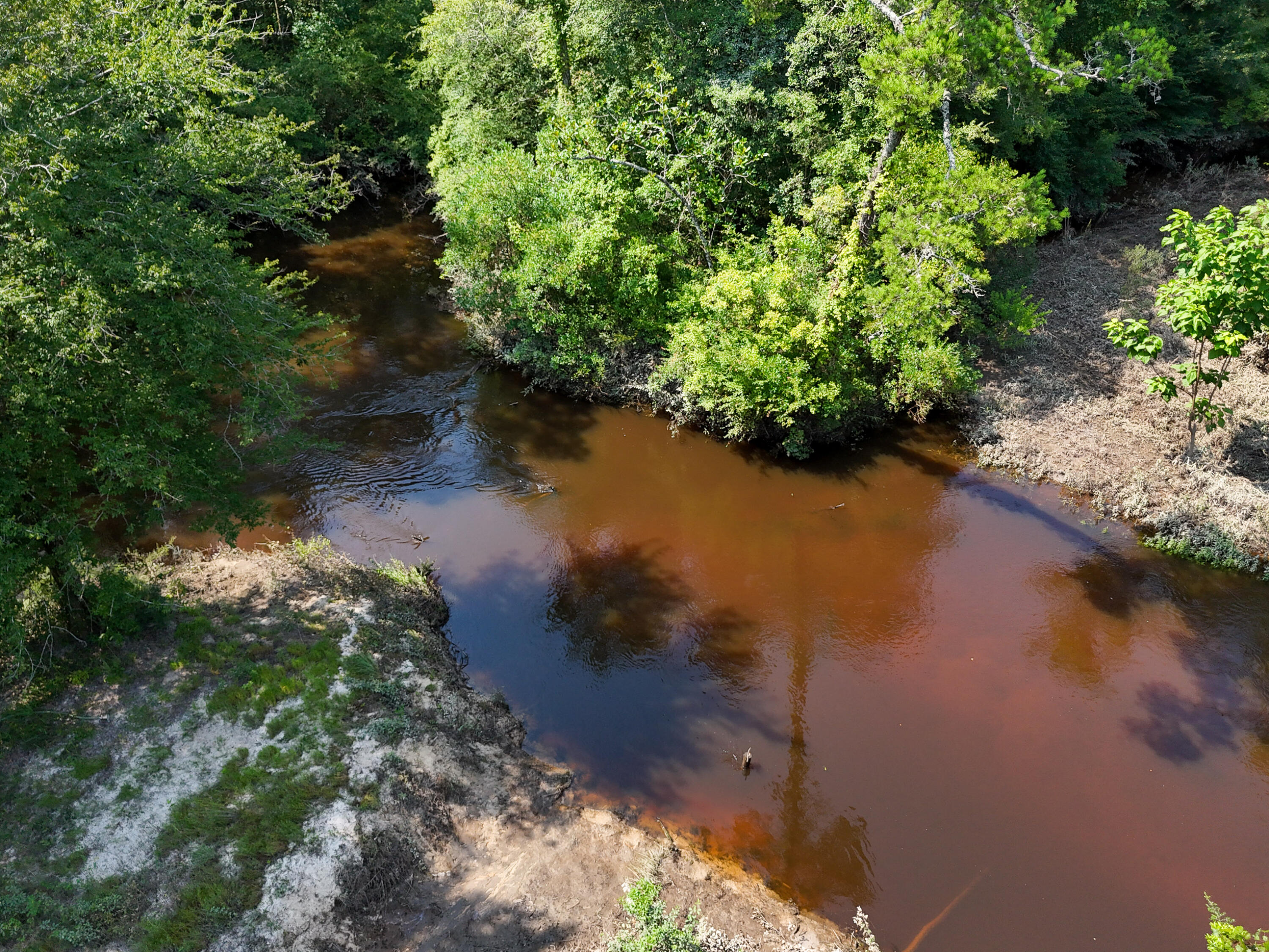 3128 County Road 10 Samson, AL 36477 - Photo 47 of 67 DJI_20260630231756_0039_D