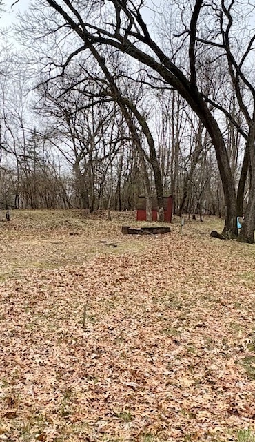 21-250 Woodhaven Sublette, IL 61367 - Photo 1 of 2 a backyard of a house with lots of green space