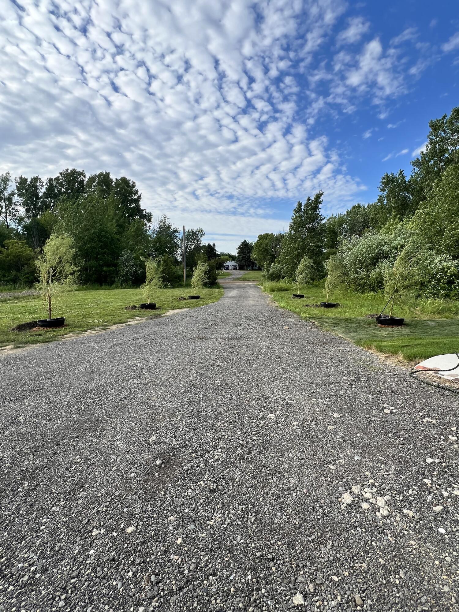 11700 Britton Road Byron, MI 48418 - Photo 3 of 45 IMG_8763 2