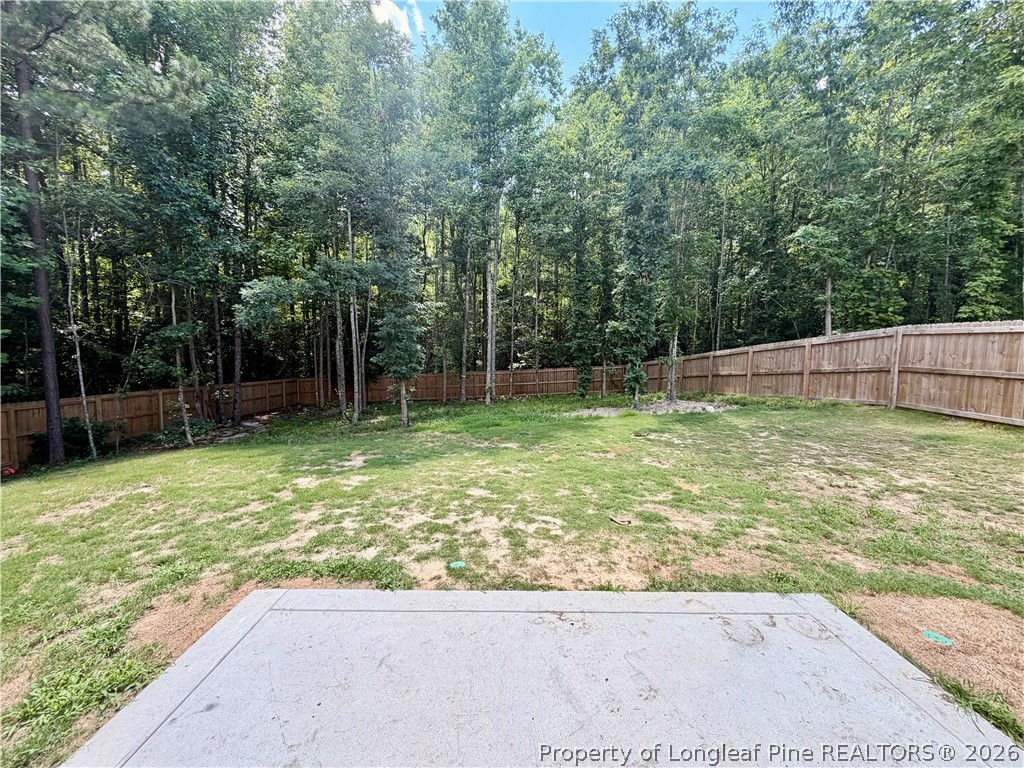 305 Roberts Place Carthage, NC 28327 - Photo 34 of 36