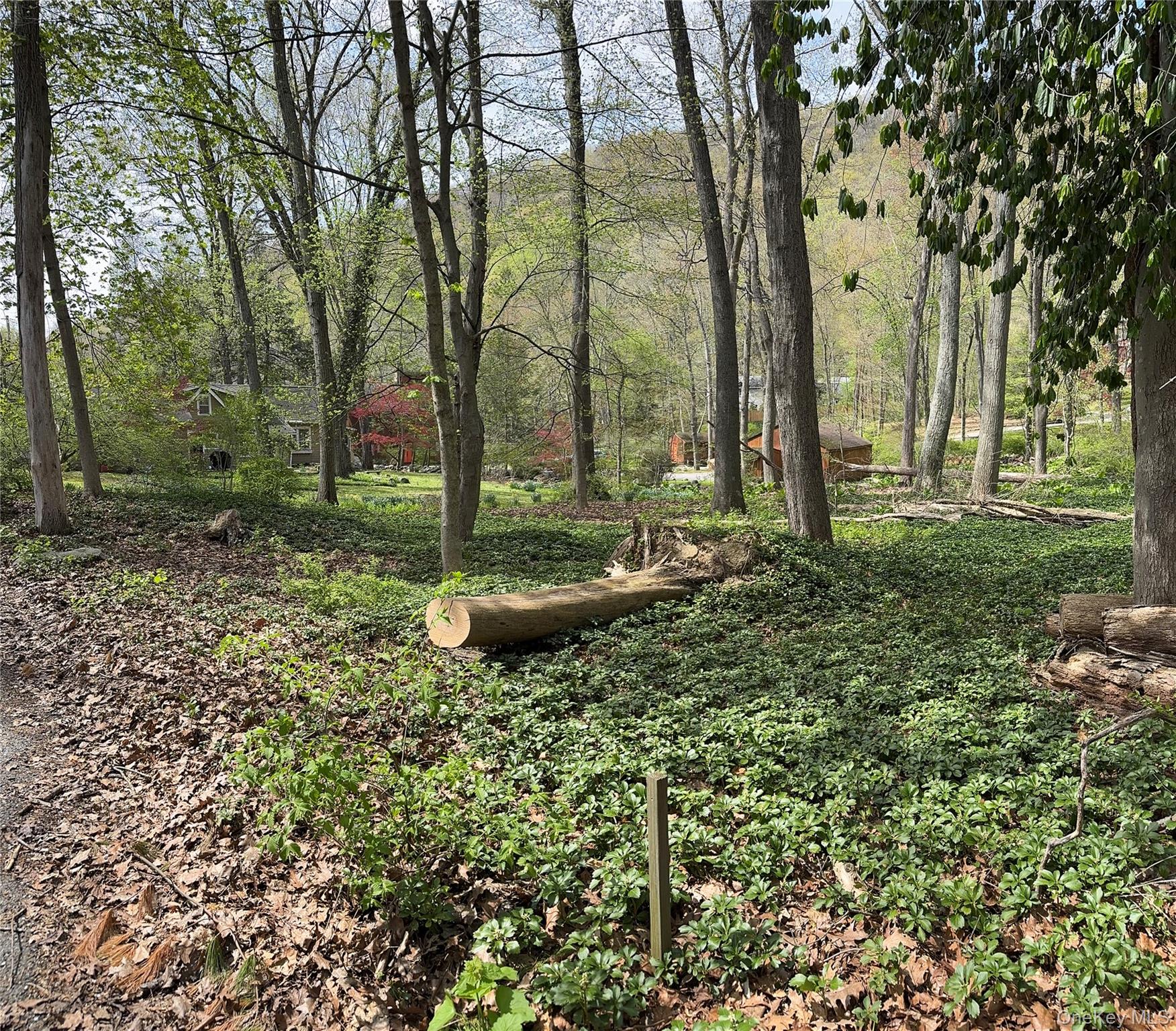 Cove Road South Salem, NY 10590 - Photo 2 of 8 View of lot
