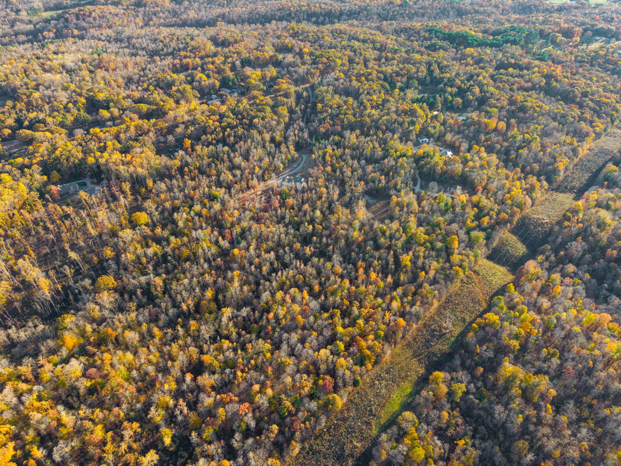 0 Belmont Road Clarksville, TN 37040 - Photo 10 of 23