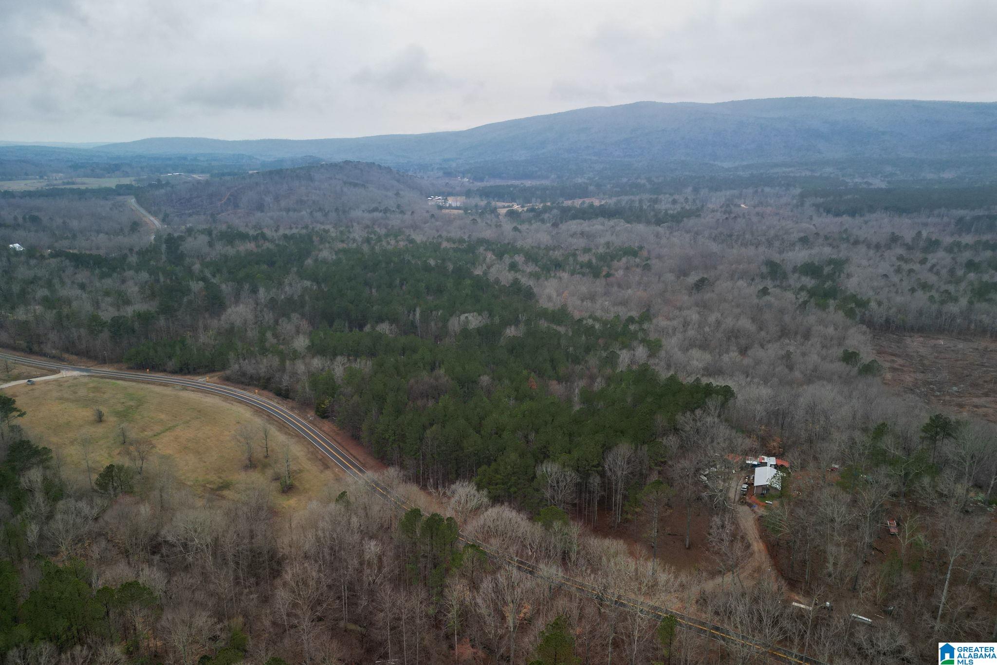 0 Highway 49 Lineville, AL 36266 - Photo 6 of 18