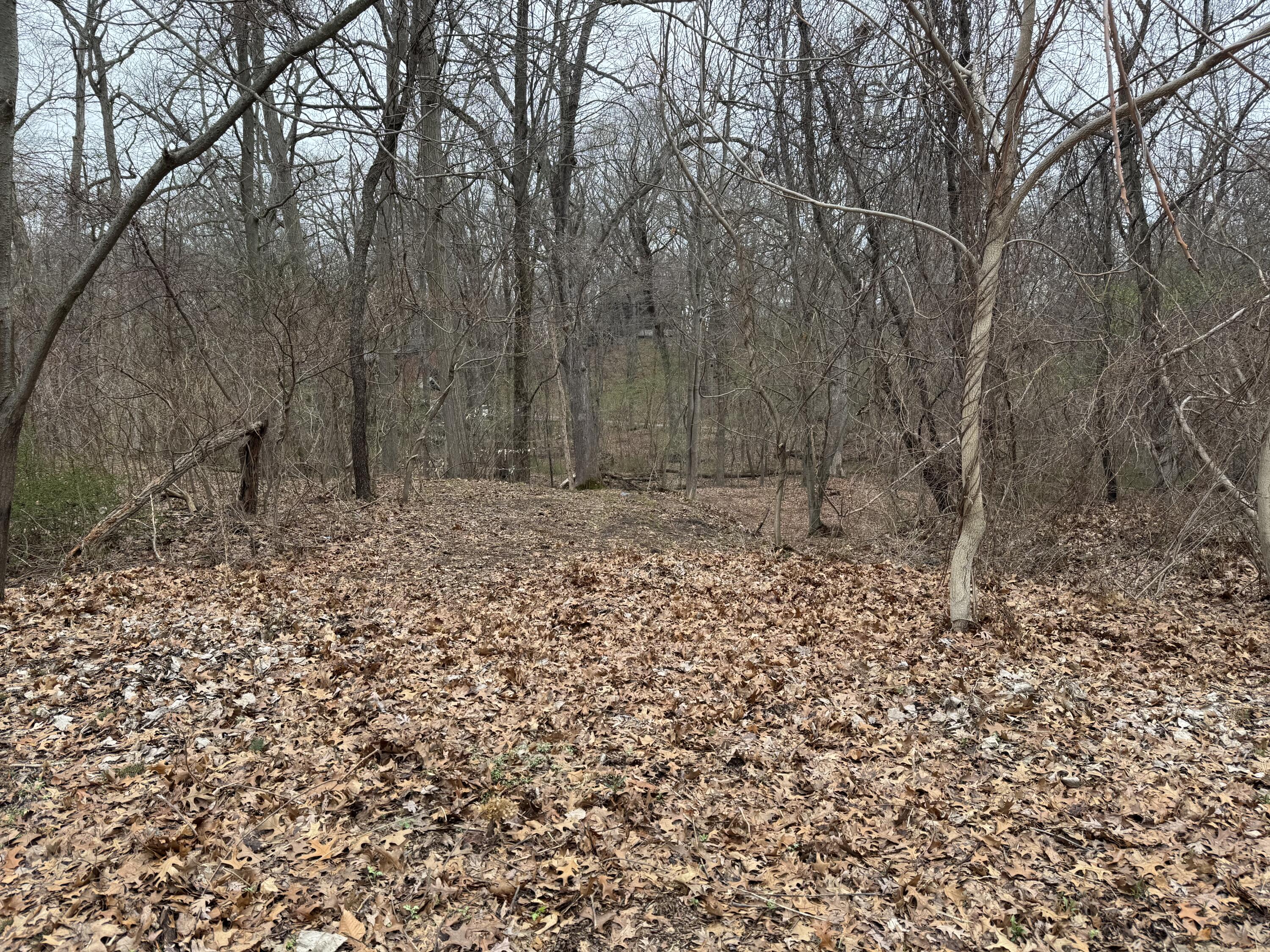 4202 Grand Bch Road Michiana, MI 49117 - Photo 6 of 20 Anest Lot from Stree