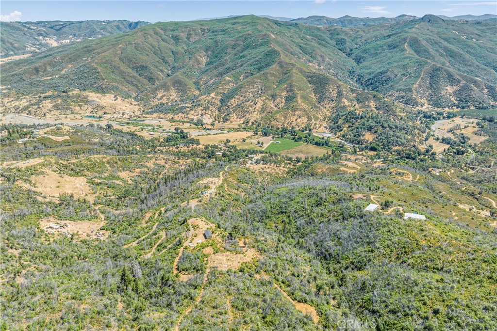 12299 Elk Mountain Road Upper Lake, CA 95485 - Photo 19 of 37 a view of a forest with an outdoor space