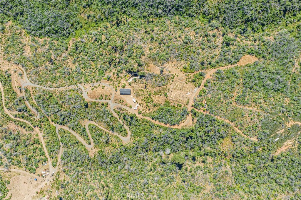 12299 Elk Mountain Road Upper Lake, CA 95485 - Photo 24 of 37 a view of a yard with a tree