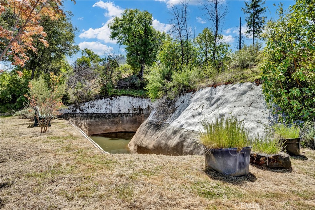 12299 Elk Mountain Road Upper Lake, CA 95485 - Photo 26 of 37 a view of a garden with potted plants
