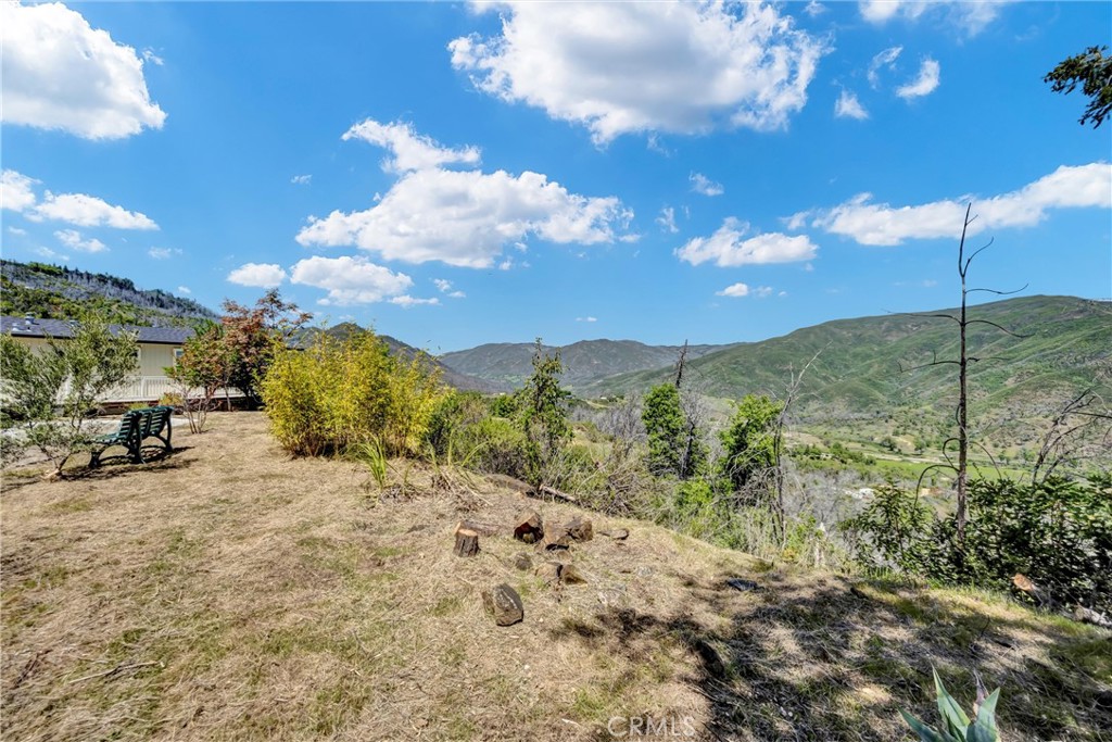 12299 Elk Mountain Road Upper Lake, CA 95485 - Photo 29 of 37 a view of a backyard