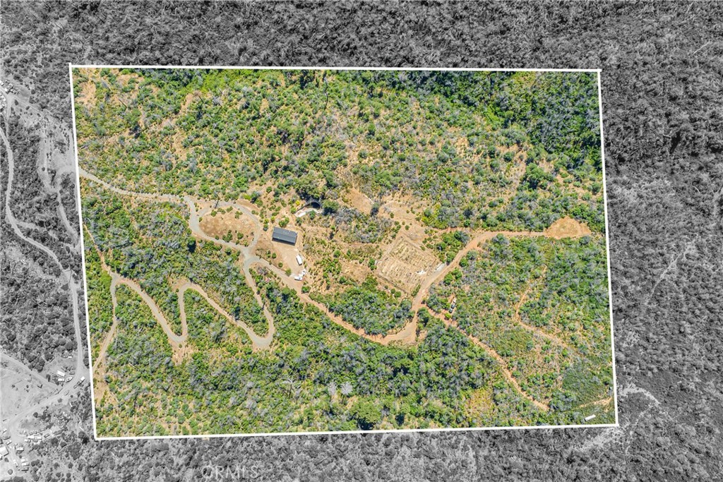 12299 Elk Mountain Road Upper Lake, CA 95485 - Photo 3 of 37 a picture of a garden