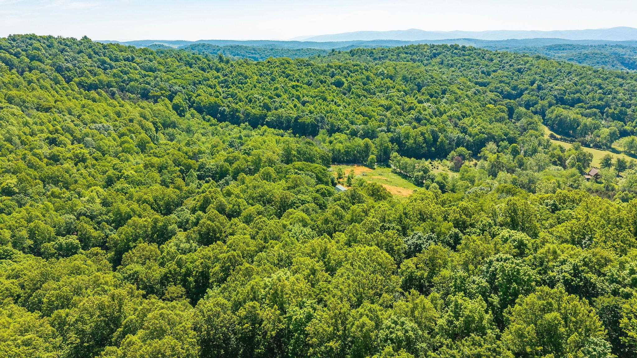 875 Campbells Hollow Road Middlebrook, VA 24459 - Photo 68 of 75
