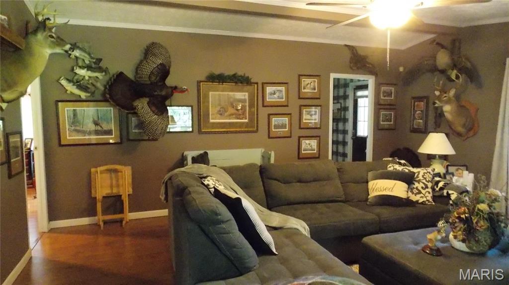 532 Ripley 160e-30 Naylor, MO 63953 - Photo 5 of 27