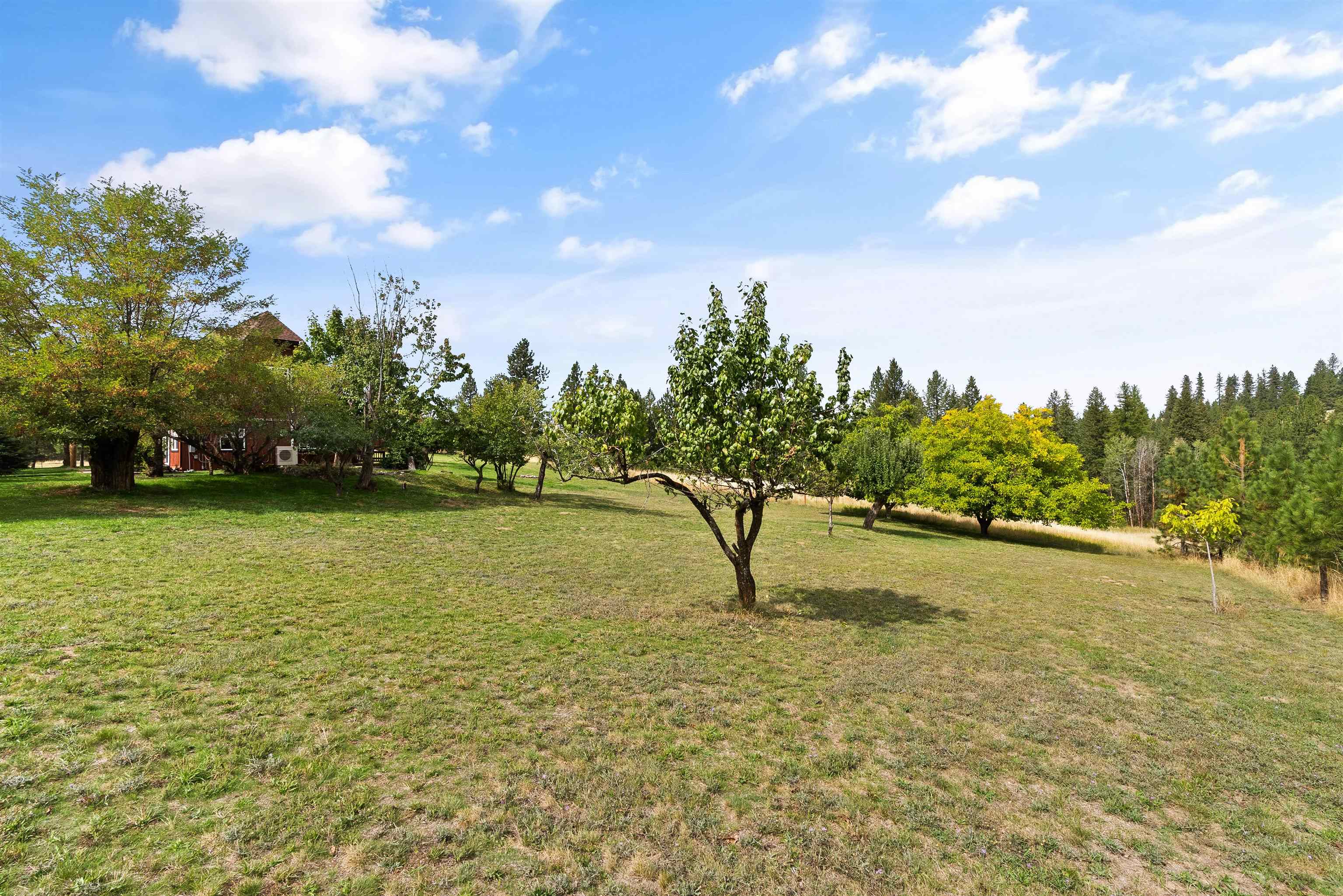 22307 North Madison Road Mead, WA 99021 - Photo 36 of 50 Gallery Image 36