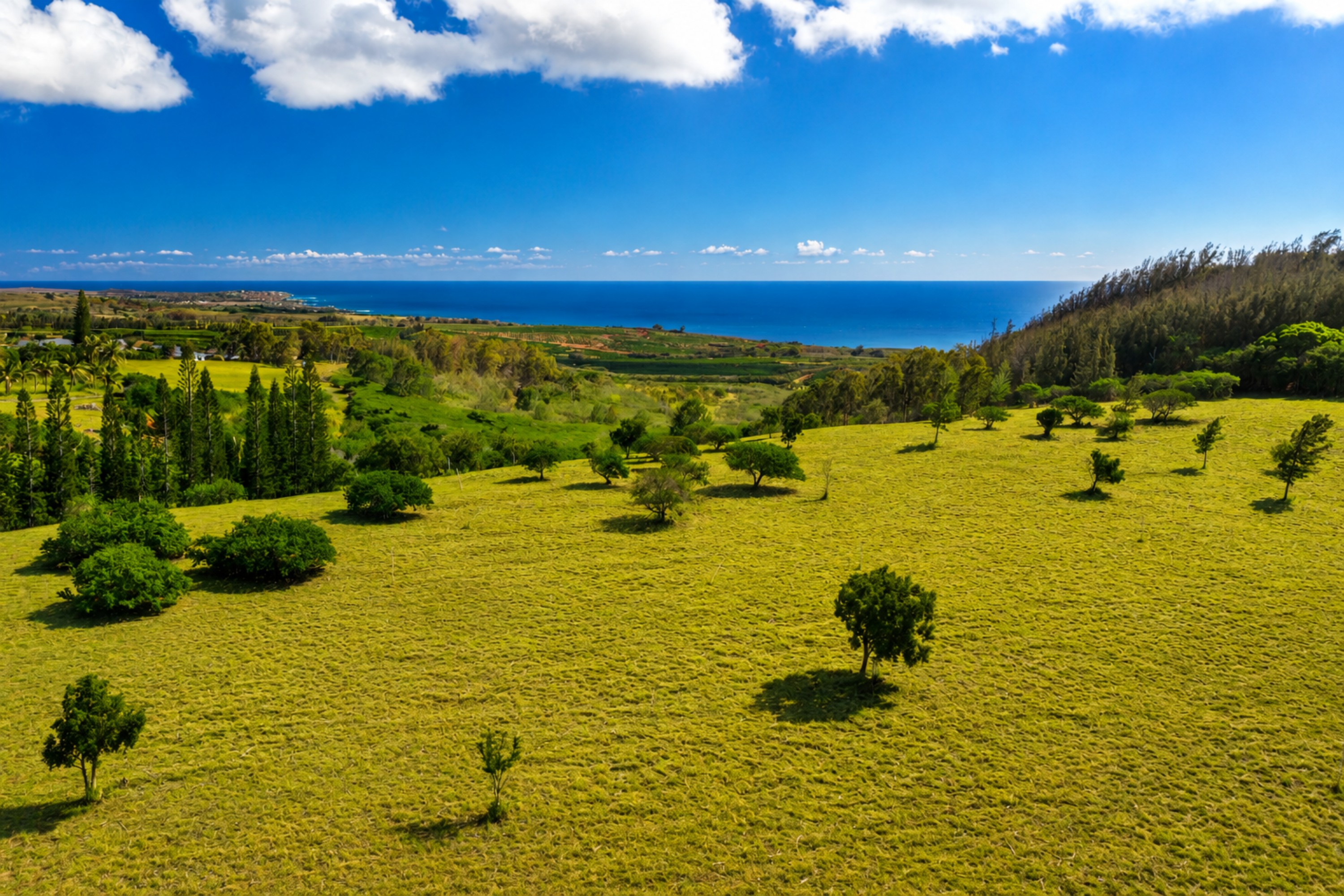 3 Lot 150 Lolo Road Kalaheo, HI 96741 - Photo 6 of 11