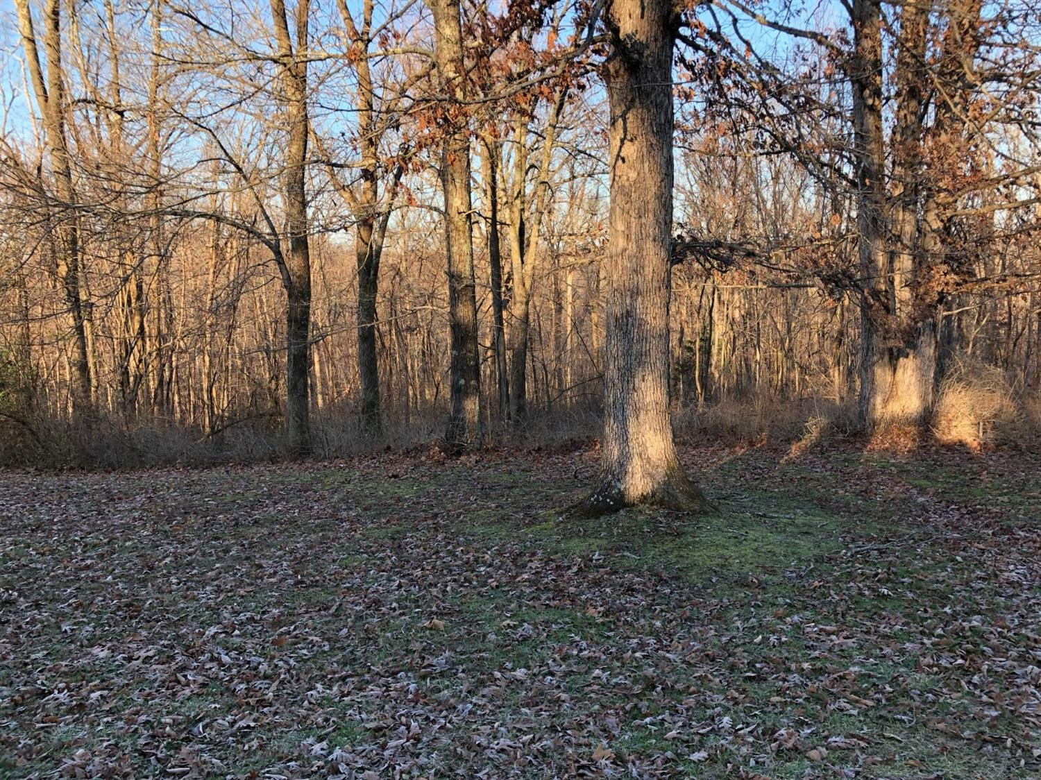 1550 Tennessee Ridge Road Parksville, KY 40464 - Photo 32 of 41 Listing Photo