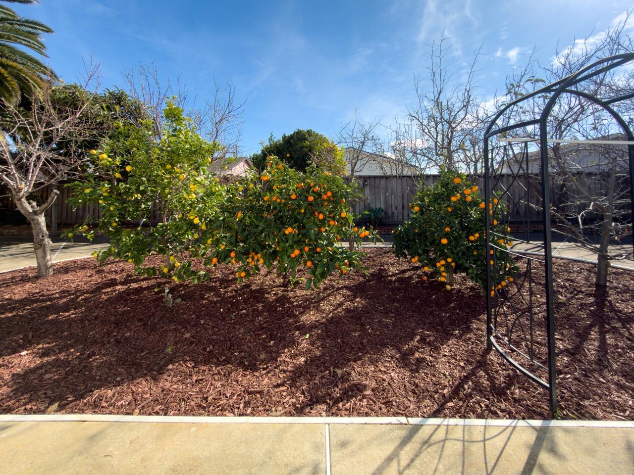 36255 Casey Court Newark, CA 94560 - Photo 15 of 16