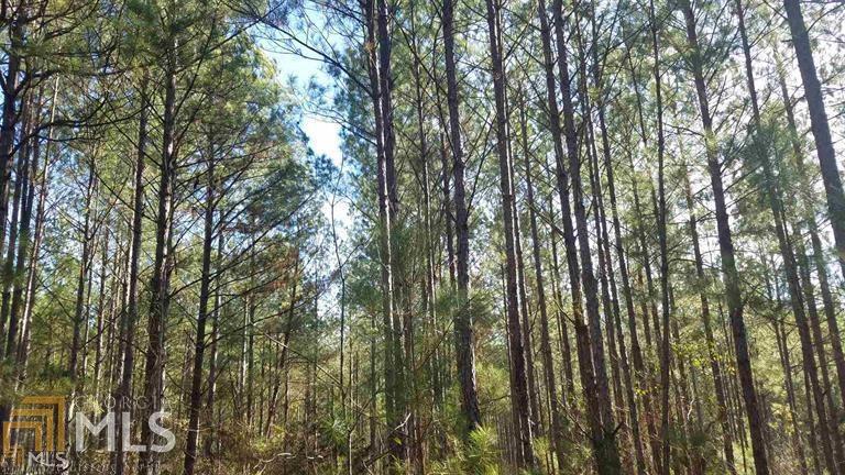 0 Roberts Quarters Road, Unit 188AC Molena, GA 30258 - Photo 1 of 1 Gallery Image 1