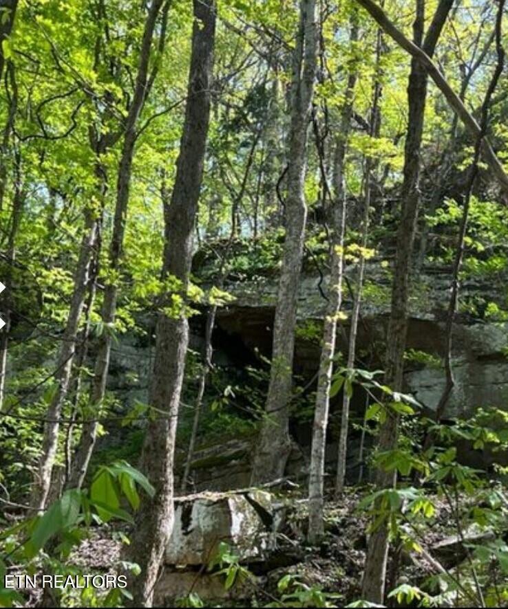 95.43-acre Sheep Bluff Road Cookeville, TN 38506 - Photo 2 of 10 162997625458297982