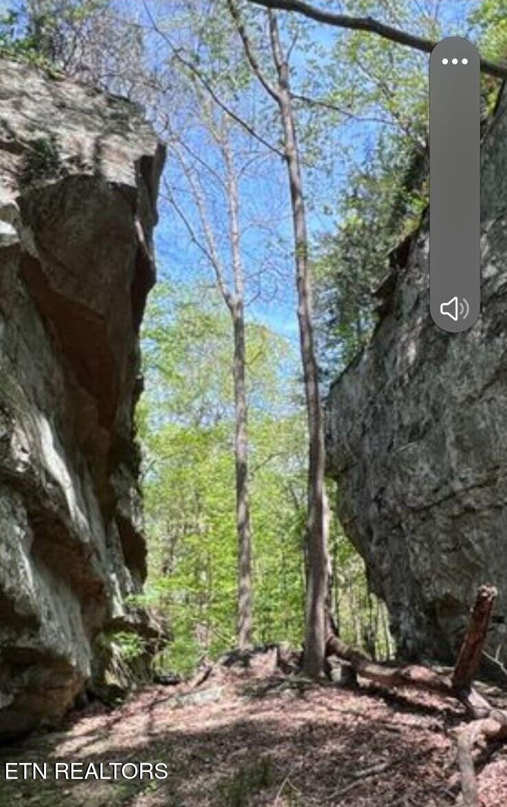 95.43-acre Sheep Bluff Road Cookeville, TN 38506 - Photo 3 of 10 3949647312145255559