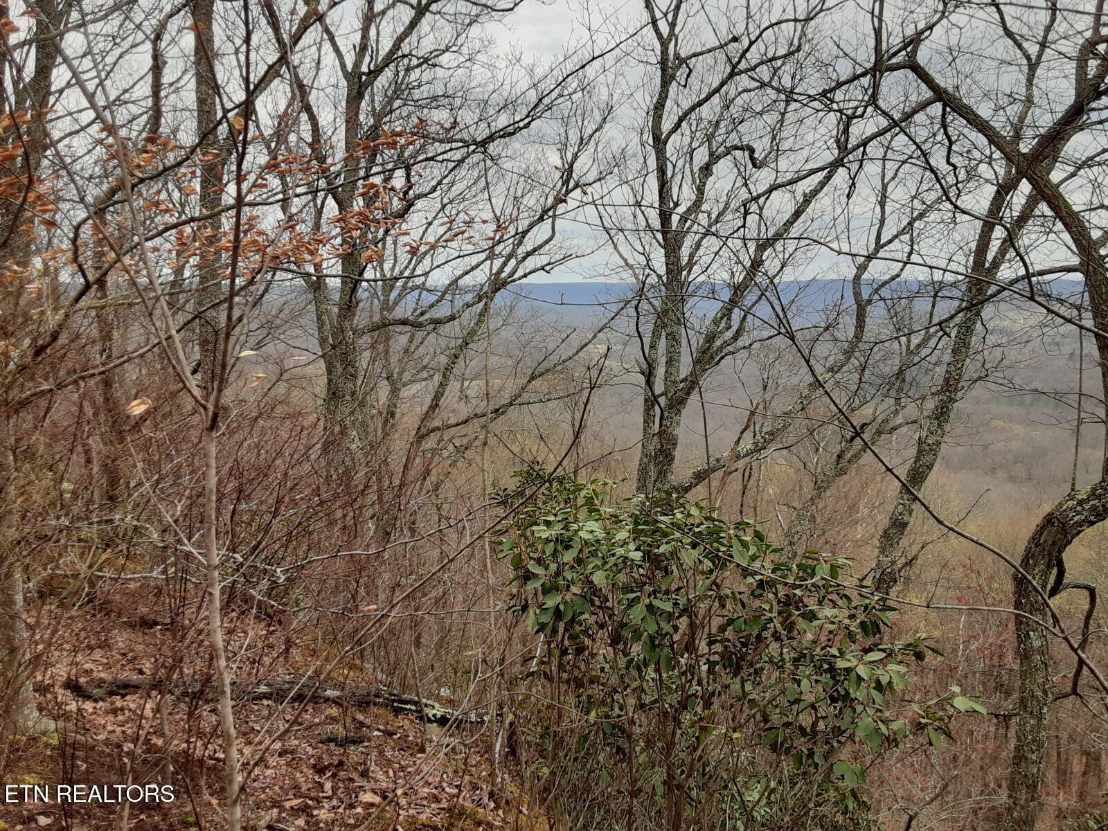 95.43-acre Sheep Bluff Road Cookeville, TN 38506 - Photo 4 of 10 2392507487838789975