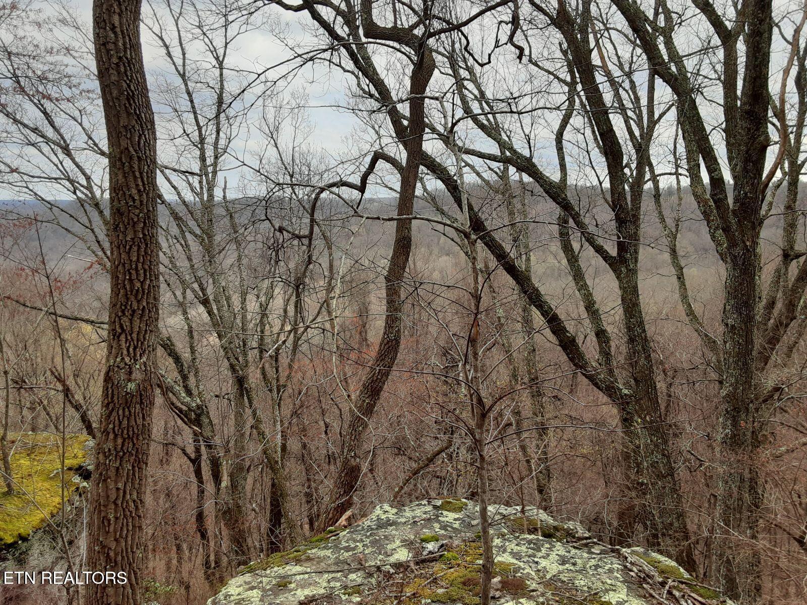 95.43-acre Sheep Bluff Road Cookeville, TN 38506 - Photo 9 of 10 7023569579140263865