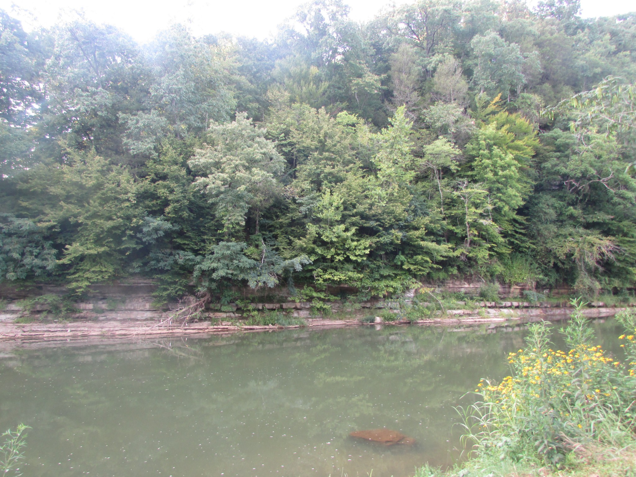 0 Old Power House Road South Lawrenceburg, TN 38464 - Photo 22 of 29 Gallery Image 22