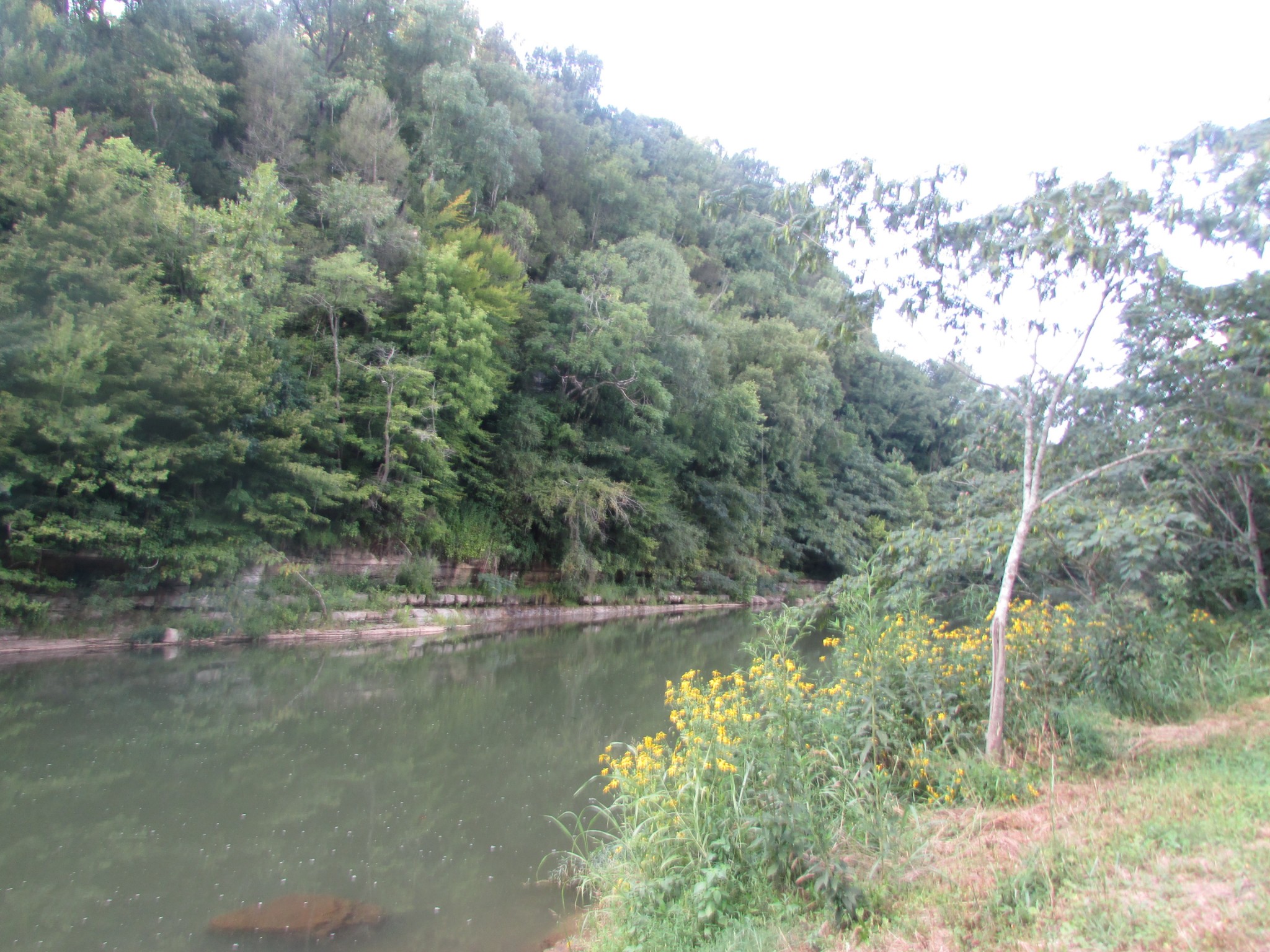 0 Old Power House Road South Lawrenceburg, TN 38464 - Photo 23 of 29 Gallery Image 23
