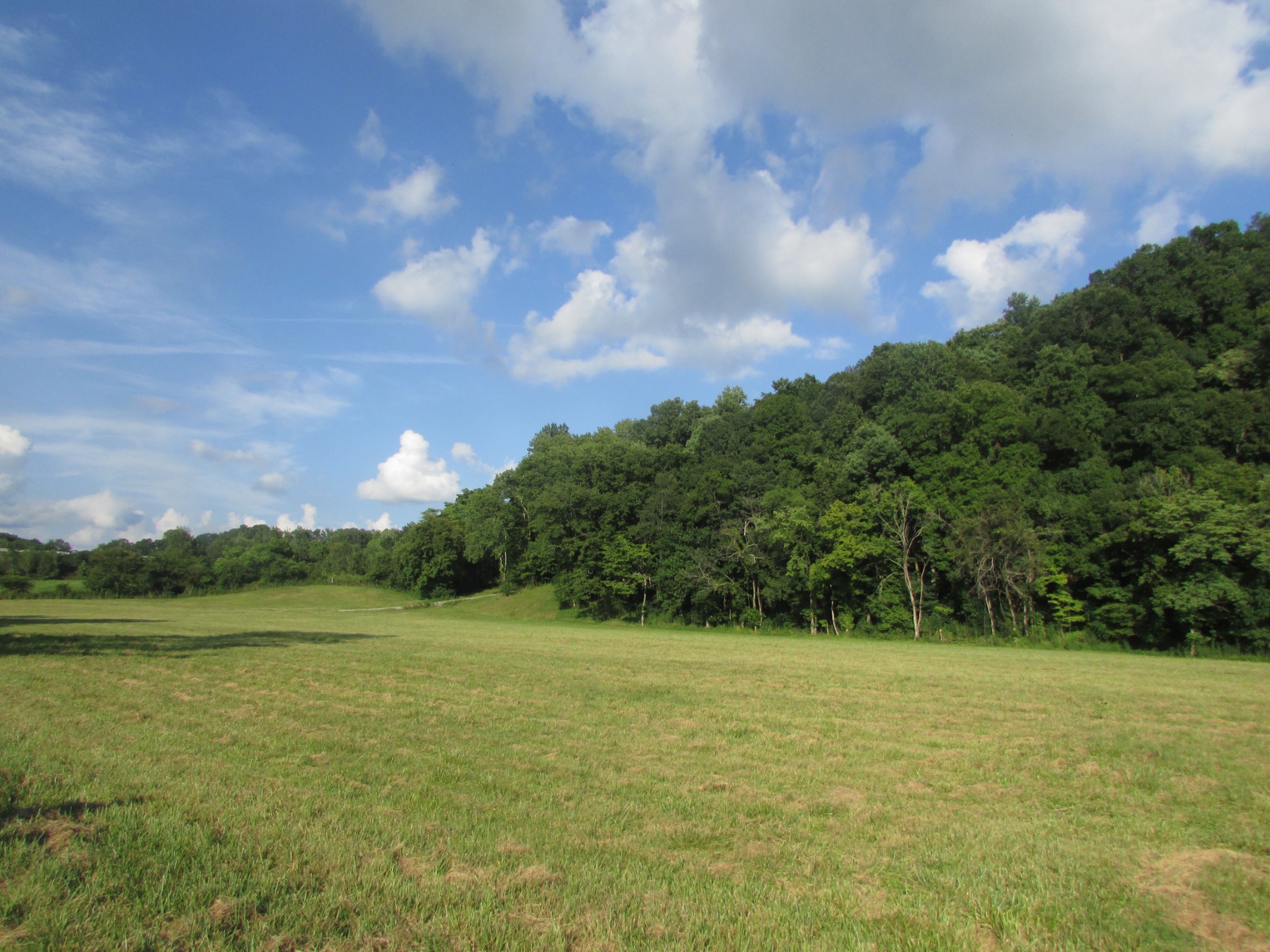 0 Old Power House Road South Lawrenceburg, TN 38464 - Photo 4 of 29 Gallery Image 4
