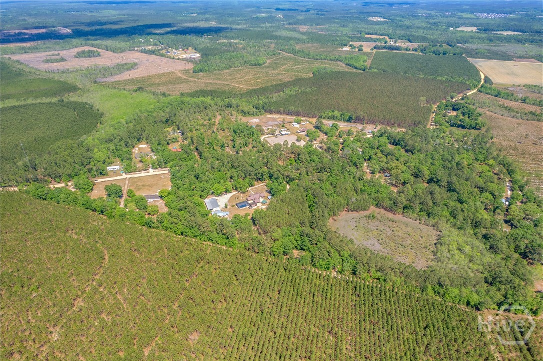 1153 Jake Lucas Road Northeast Ludowici, GA 31316 - Photo 38 of 54