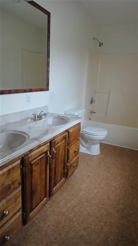 1306 Toliver Lake Road Manchester, TN 37355 - Photo 15 of 20 Boasting a new cork floor, Master Bathroom has double vanity with storage and tub/shower combo.