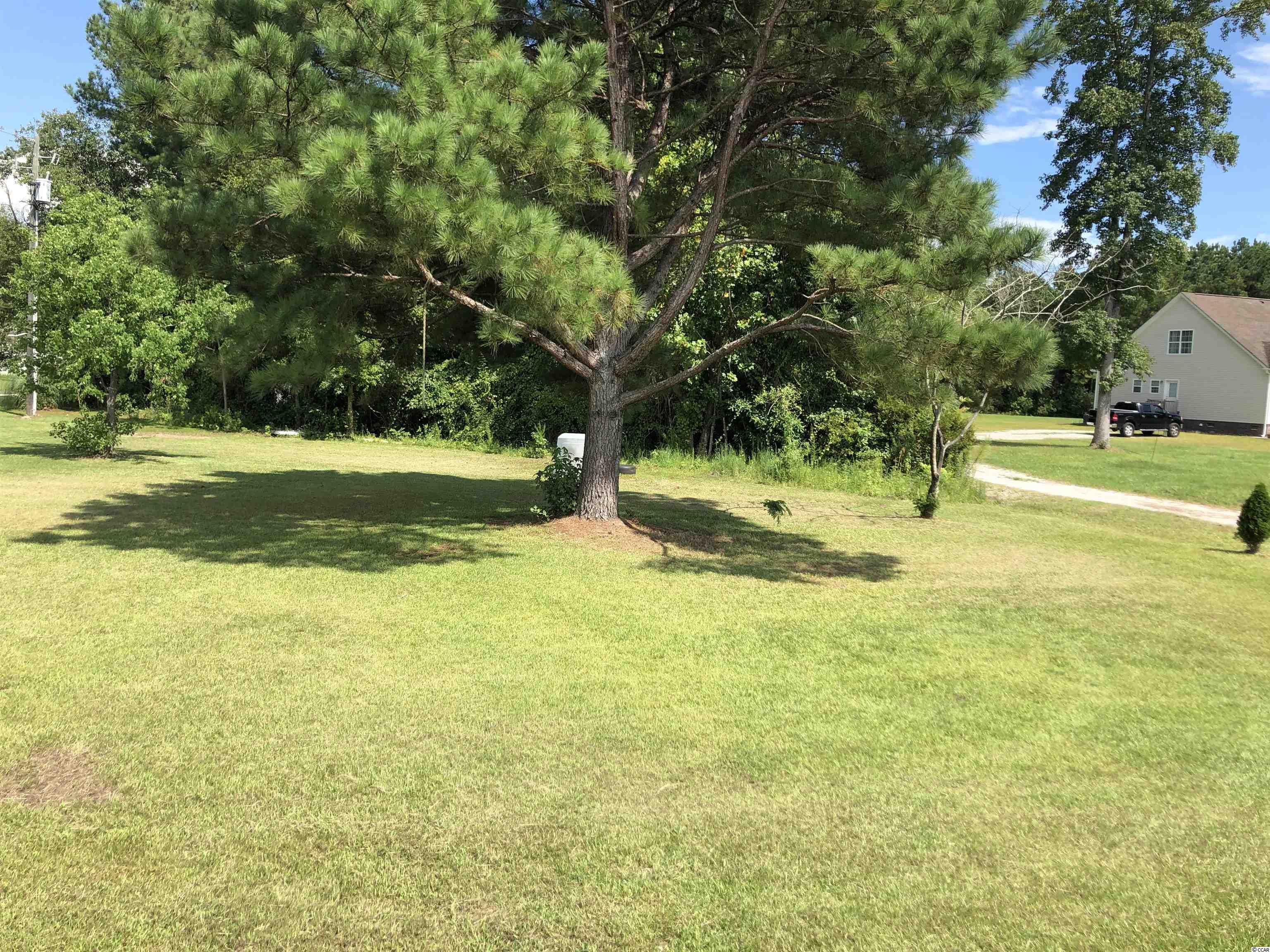 3373 Fries Bay Road Loris, SC 29569 - Photo 12 of 12