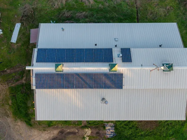 a view of a backyard with potted plants and large tree