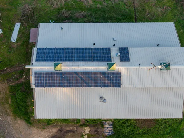 a view of a backyard with potted plants and large tree