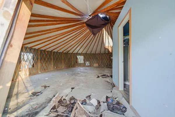 a view of a park with large trees