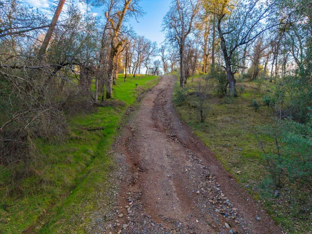 a big yard with flowing stream of water in middle