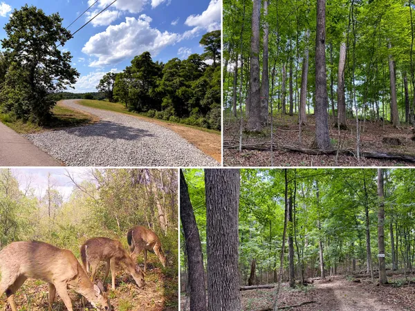 $69,900 | 0 Cutlip Road, Unit TRACT 6 AT JACKSON OAKS), Jackson, OH 45640