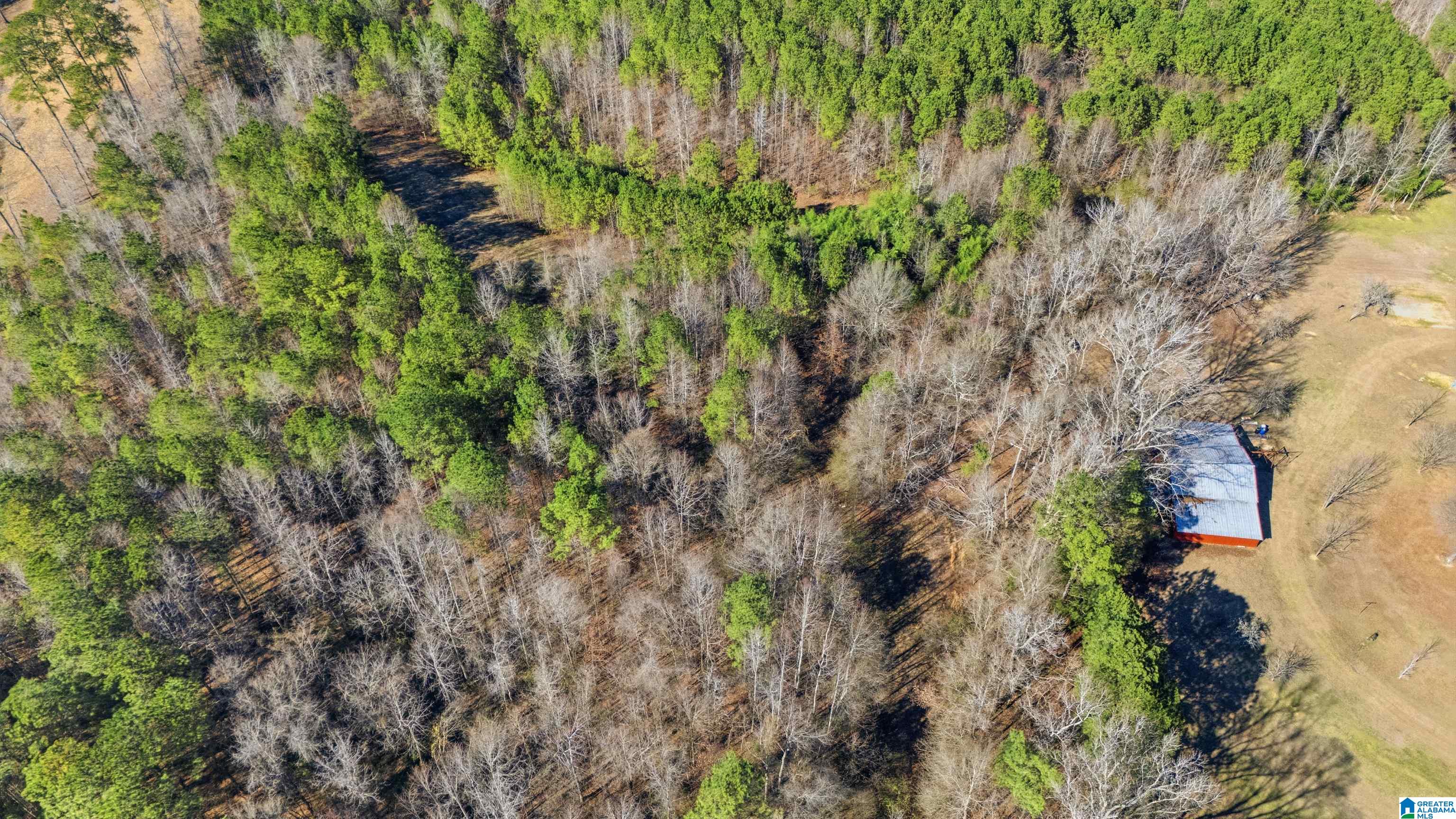 5304 Deans Ferry Road Trafford, AL 35172 - Photo 8 of 14