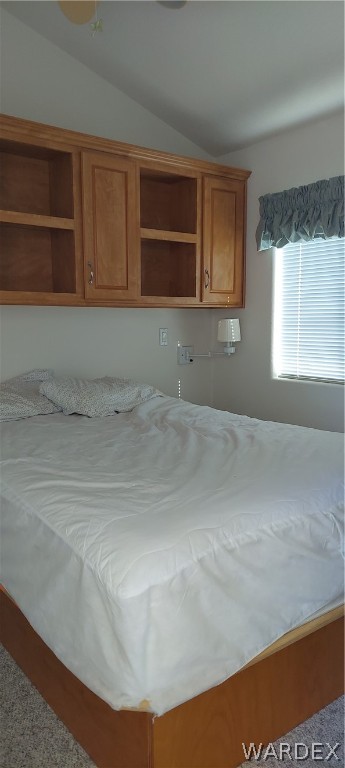 2000 Ramar Road, Unit 527 Bullhead City, AZ 86442 - Photo 11 of 13