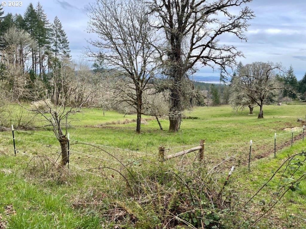 25426 Butler Road Junction City, OR 97448 - Photo 13 of 36 Gallery Image 13