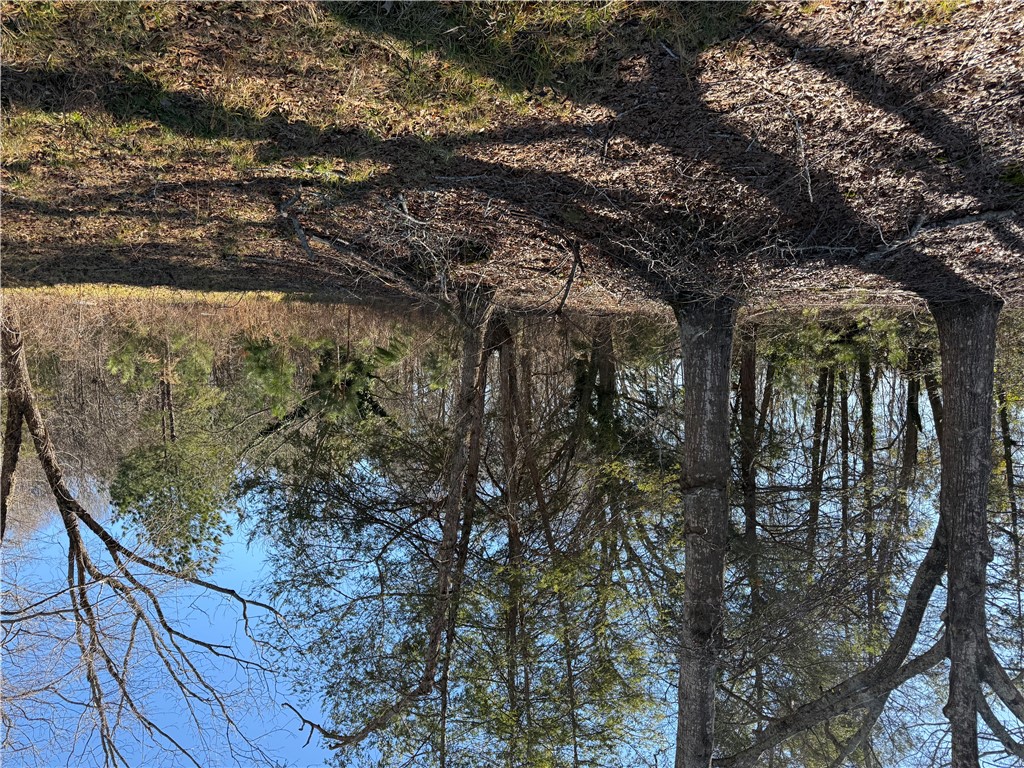 Gentle slope up to mixed hardwoods and pines.