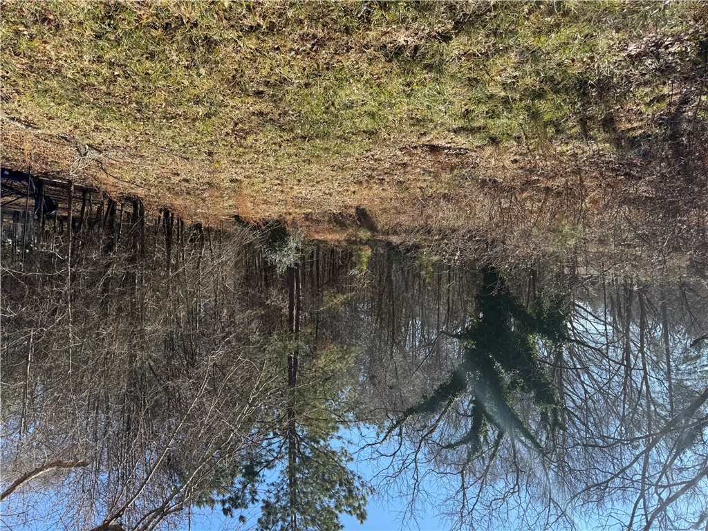 311 Doyle Street Westminster, SC 29693 - Photo 2 of 2 Flat lot which gently curves to left.