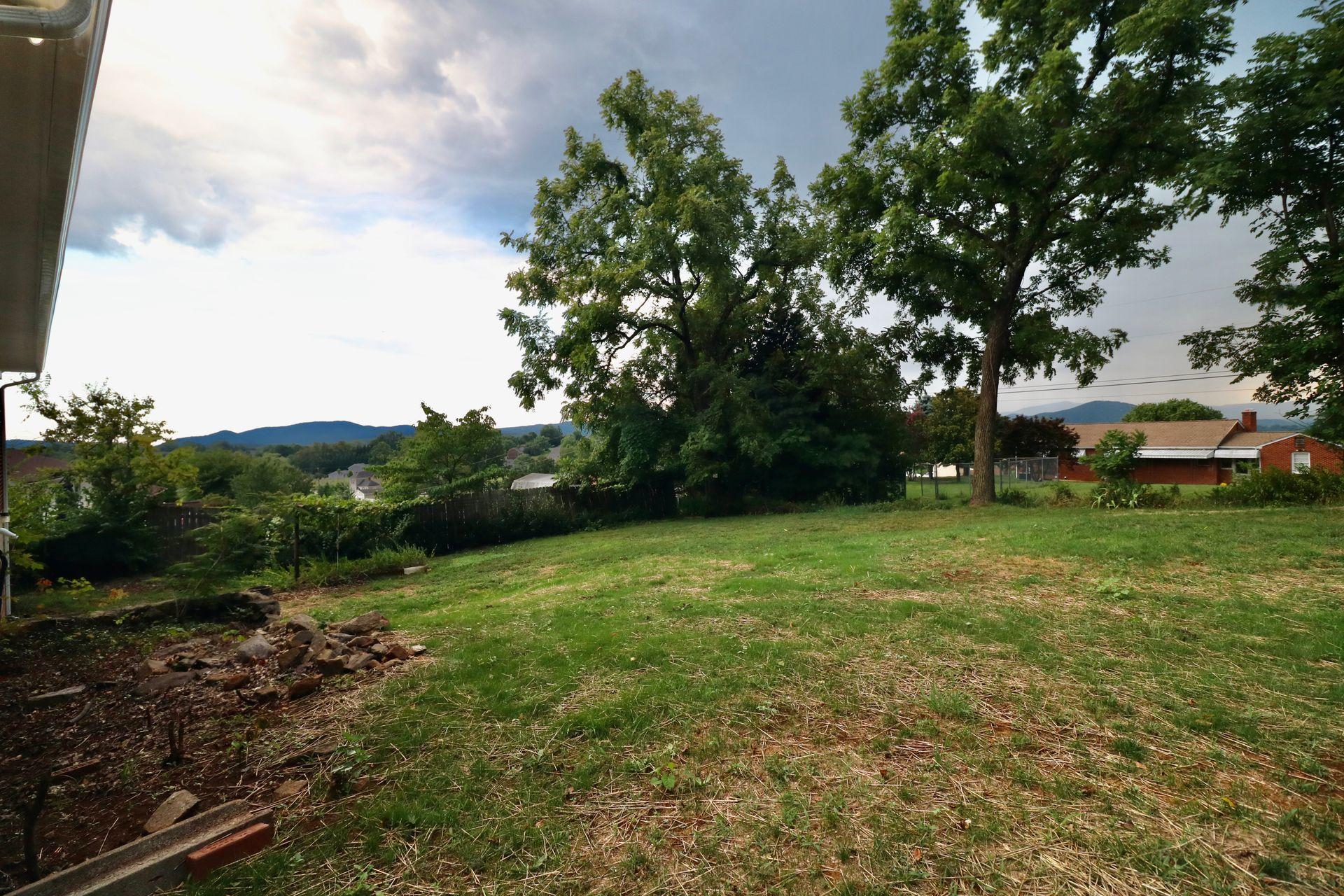 901 Olney Road Vinton, VA 24179 - Photo 36 of 42 a view of a field with plants and large trees