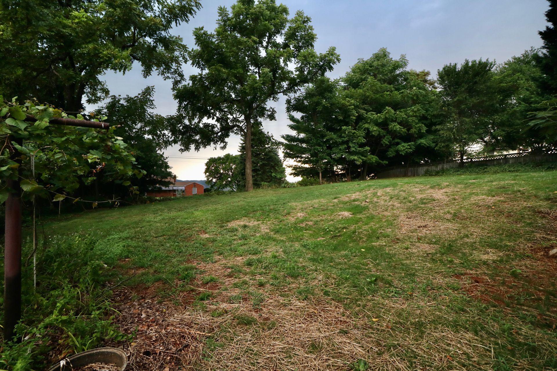 901 Olney Road Vinton, VA 24179 - Photo 37 of 42 a view of a field with a tree