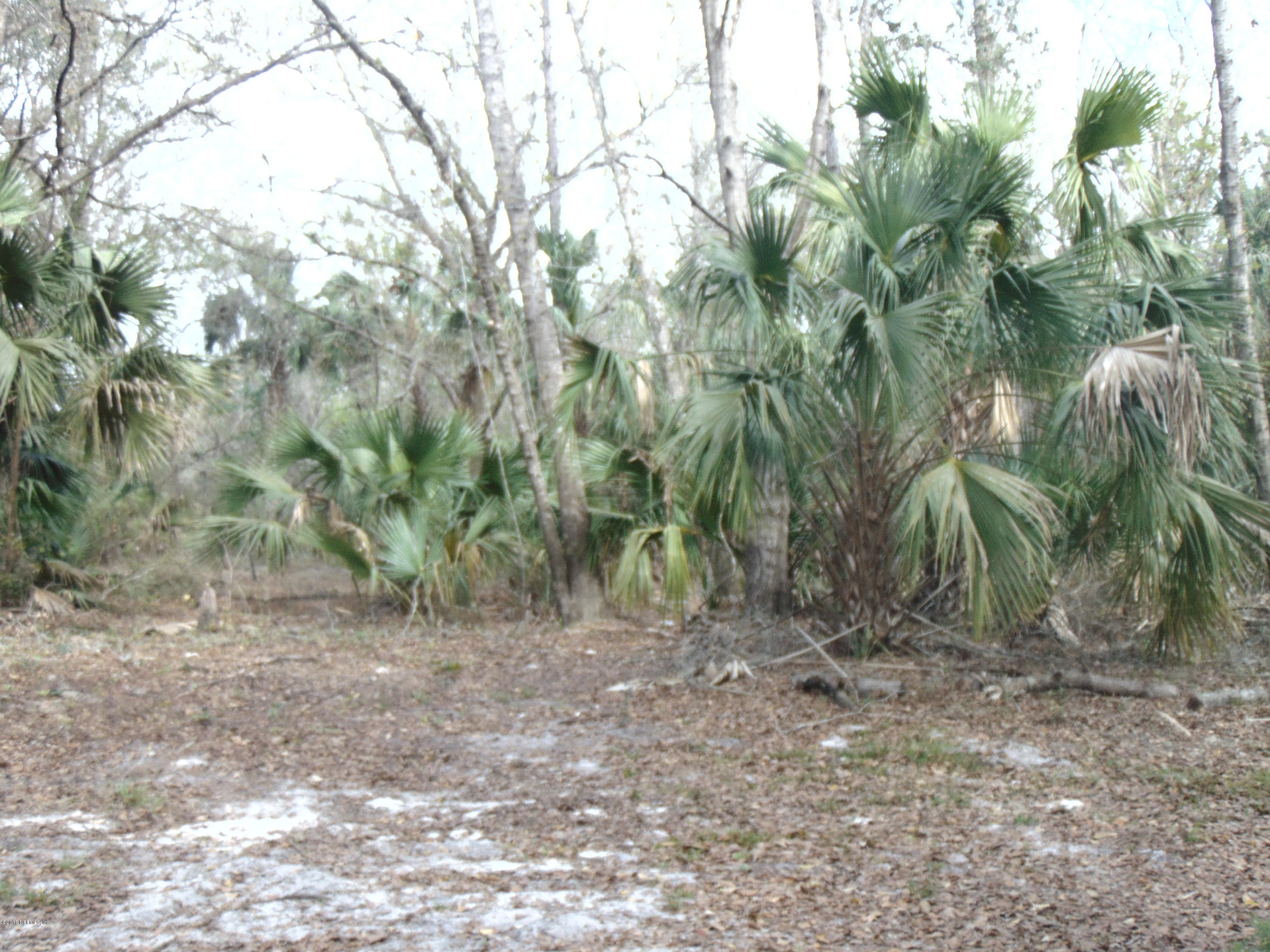 117 Rhododendron Lane Interlachen, FL 32148 - Photo 3 of 11 DSC00763