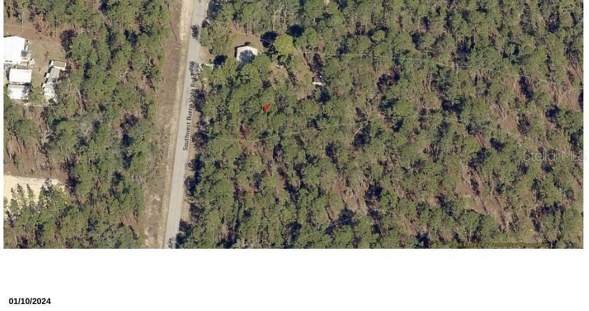 Tbd Southwest Buena Vista Road Dunnellon, FL 34431 - Photo 1 of 3 a view of a bunch of trees and bushes
