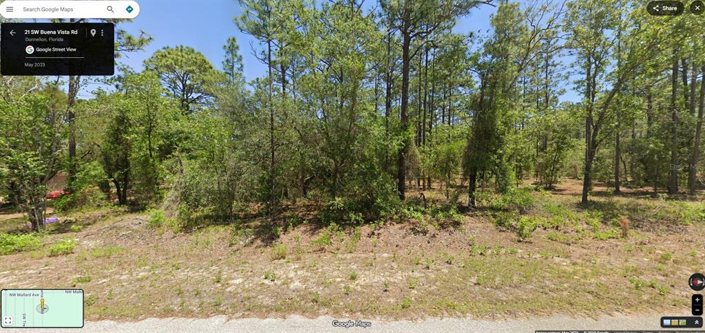 Tbd Southwest Buena Vista Road Dunnellon, FL 34431 - Photo 3 of 3 a view of backyard with green space