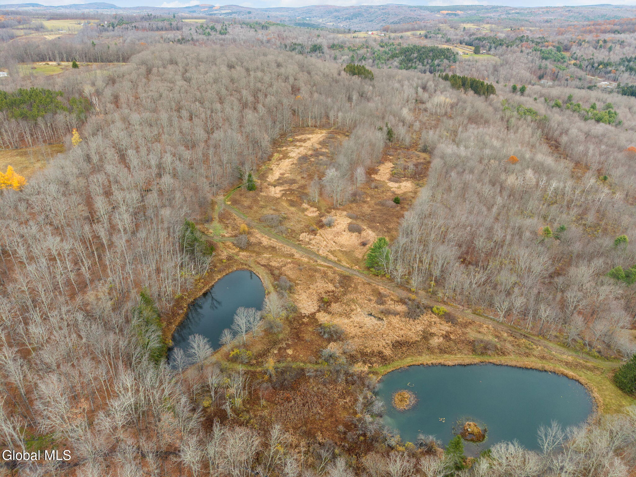 433 Merchant Road Jefferson, NY 12093 - Photo 40 of 57 77-433MerchantRd_77