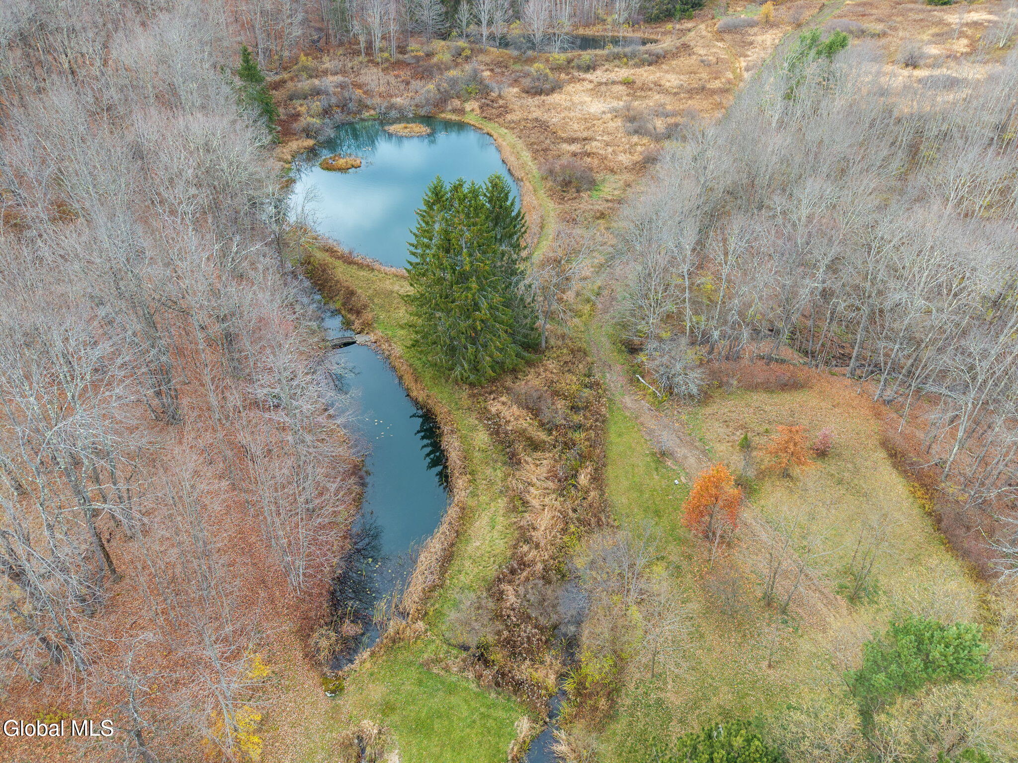 433 Merchant Road Jefferson, NY 12093 - Photo 8 of 57 68-433MerchantRd_68