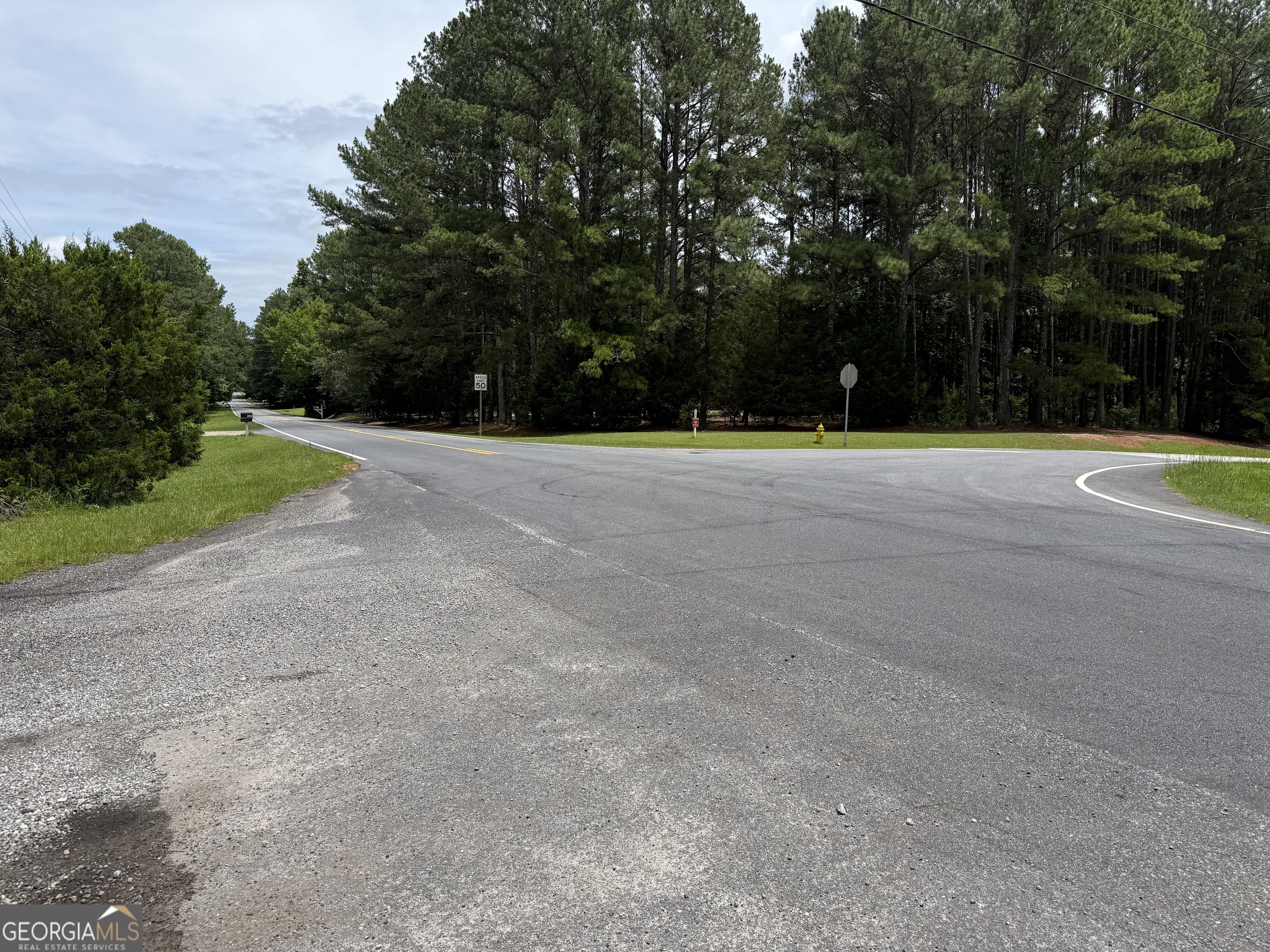 148 Hillview Road, Unit LOT#148 Hampton, GA 30228 - Photo 3 of 6