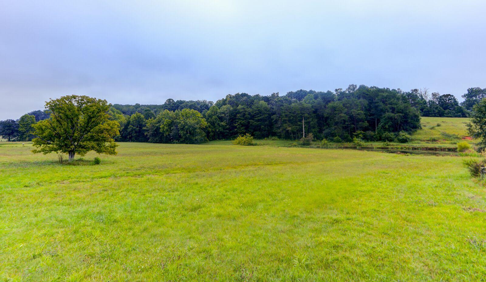 3147 Hinds Creek Road Heiskell, TN 37754 - Photo 1 of 7 Hinds Creek Property 4